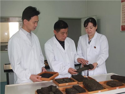 傳承茯茶非遺技藝、開拓創(chuàng)新引領(lǐng)行業(yè)發(fā)展
