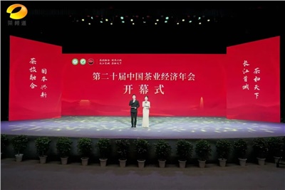 【聚焦第二十屆中國茶業(yè)經(jīng)濟(jì)年會(huì)】益陽茶廠榮獲“民族團(tuán)結(jié)互助企業(yè)”、“2024年度茶業(yè)重點(diǎn)企業(yè)”榮譽(yù)稱號(hào)